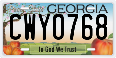 GA license plate CWY0768