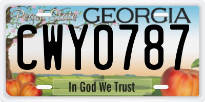 GA license plate CWY0787