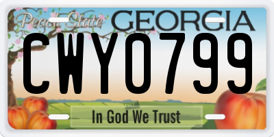 GA license plate CWY0799