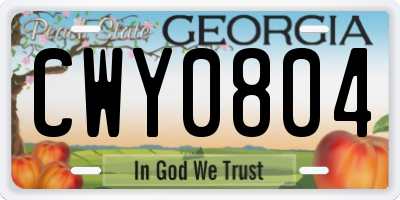 GA license plate CWY0804