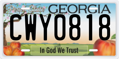 GA license plate CWY0818