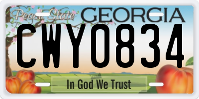 GA license plate CWY0834