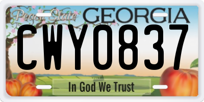 GA license plate CWY0837