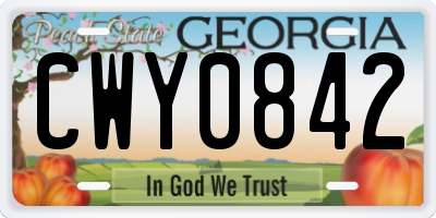 GA license plate CWY0842