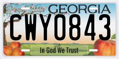GA license plate CWY0843