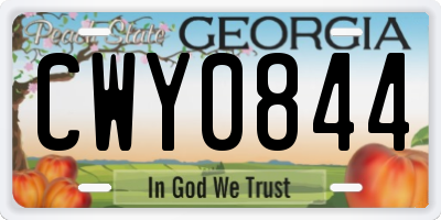 GA license plate CWY0844