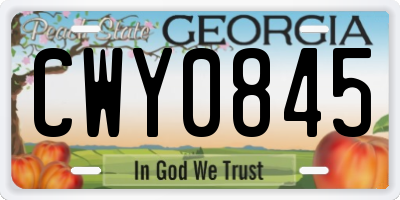 GA license plate CWY0845