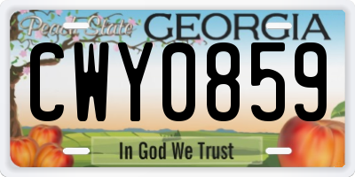 GA license plate CWY0859