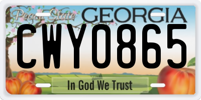 GA license plate CWY0865