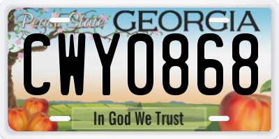 GA license plate CWY0868