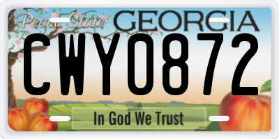 GA license plate CWY0872
