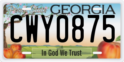 GA license plate CWY0875