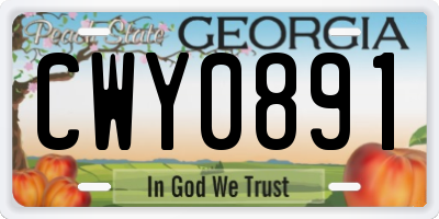 GA license plate CWY0891