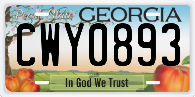 GA license plate CWY0893