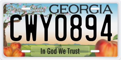 GA license plate CWY0894