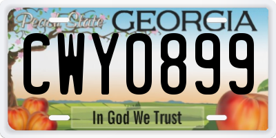 GA license plate CWY0899