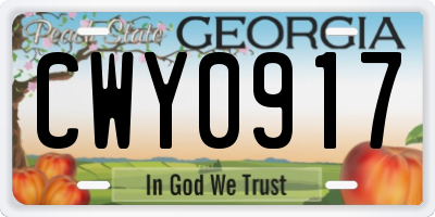 GA license plate CWY0917