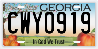 GA license plate CWY0919