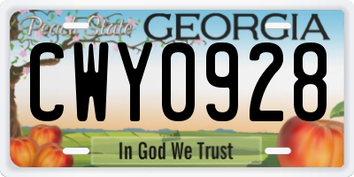 GA license plate CWY0928