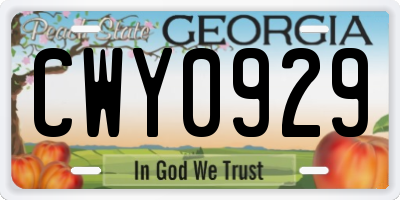 GA license plate CWY0929