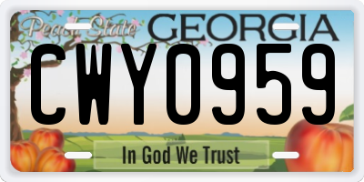 GA license plate CWY0959
