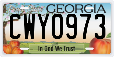 GA license plate CWY0973
