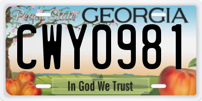 GA license plate CWY0981