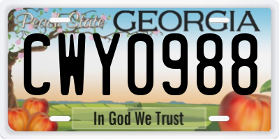 GA license plate CWY0988