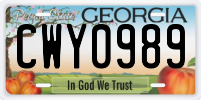 GA license plate CWY0989