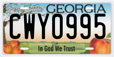 GA license plate CWY0995