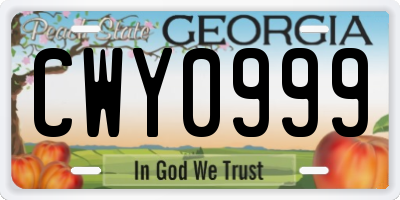 GA license plate CWY0999