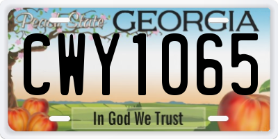 GA license plate CWY1065