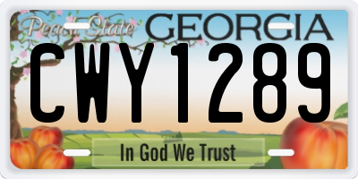 GA license plate CWY1289
