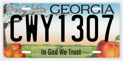 GA license plate CWY1307