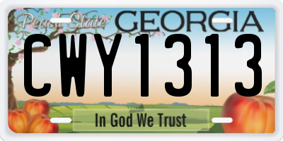 GA license plate CWY1313