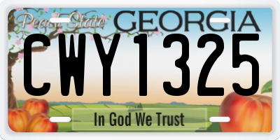 GA license plate CWY1325