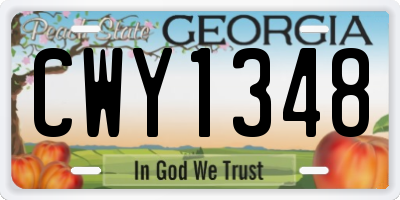 GA license plate CWY1348