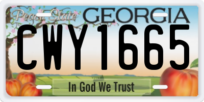 GA license plate CWY1665
