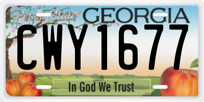 GA license plate CWY1677