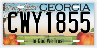 GA license plate CWY1855