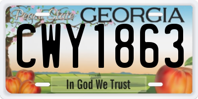 GA license plate CWY1863