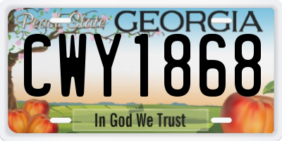 GA license plate CWY1868