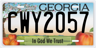 GA license plate CWY2057