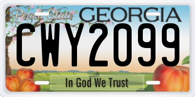 GA license plate CWY2099