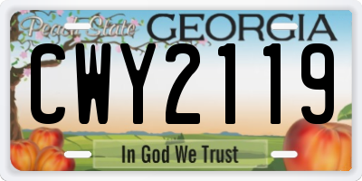 GA license plate CWY2119