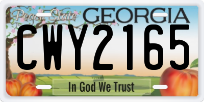 GA license plate CWY2165
