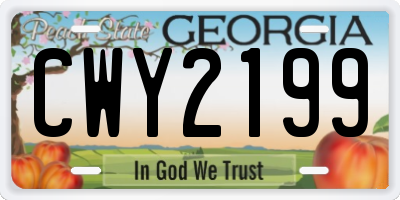 GA license plate CWY2199