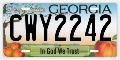 GA license plate CWY2242