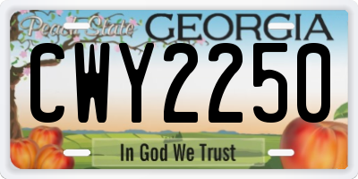 GA license plate CWY2250