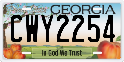 GA license plate CWY2254